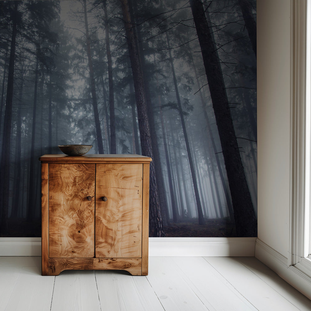 Geheimnisvoller Nebelwald. | Hintergrundbild