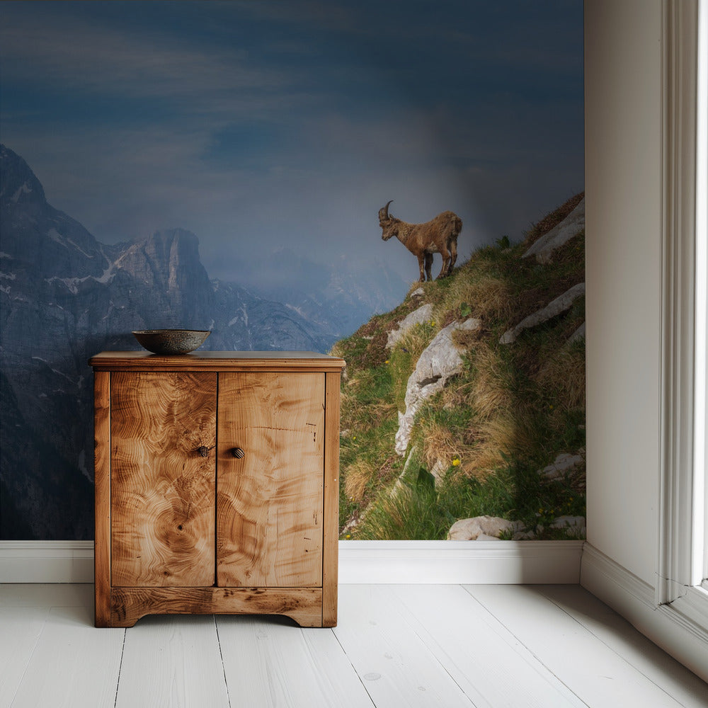 Alpensteinbock in den Bergen | Hintergrundbild