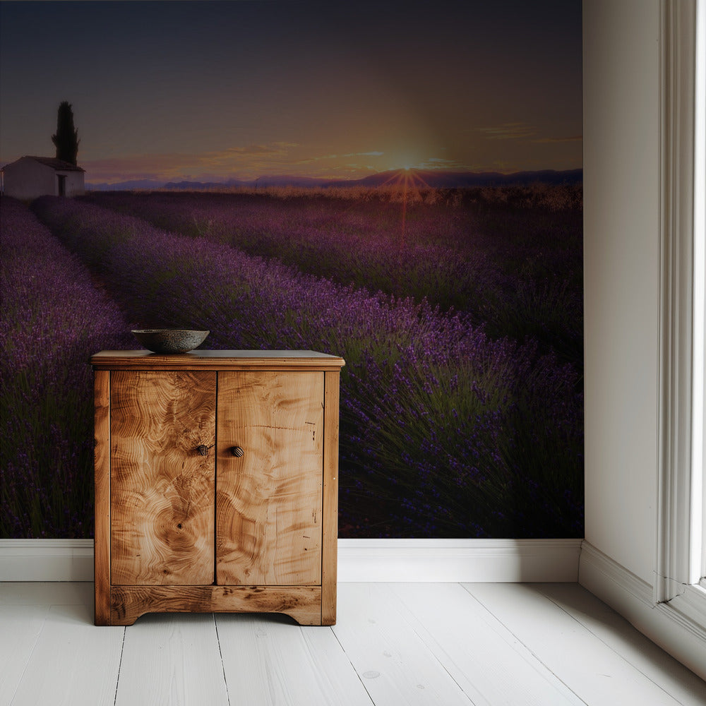 Provence Lavendel | Tapete