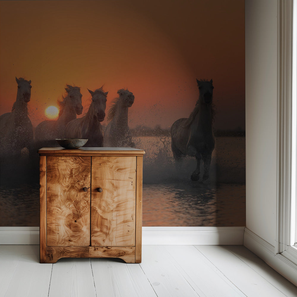 Sonnenuntergang in der Camargue | Hintergrundbild