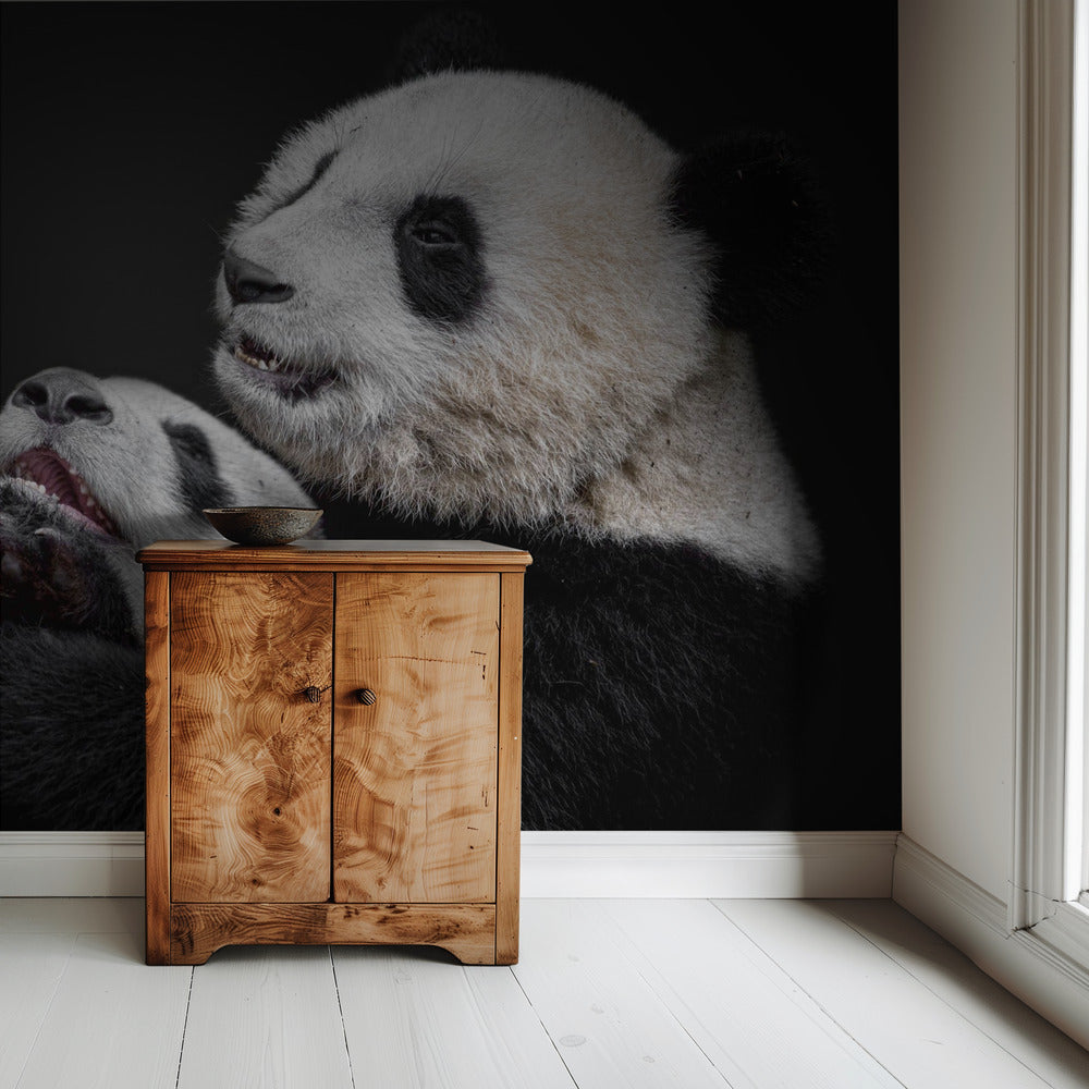 Pandas | Tapete