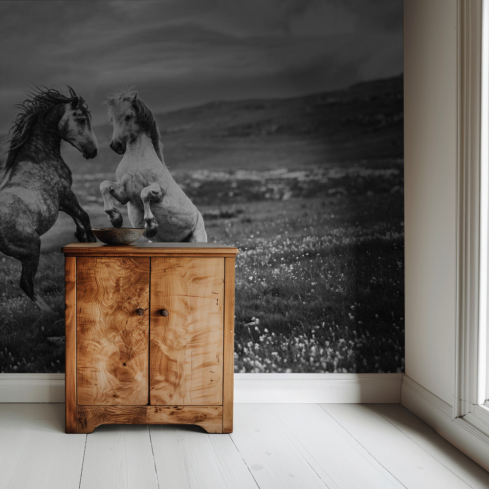 Wild und frei | Hintergrundbild