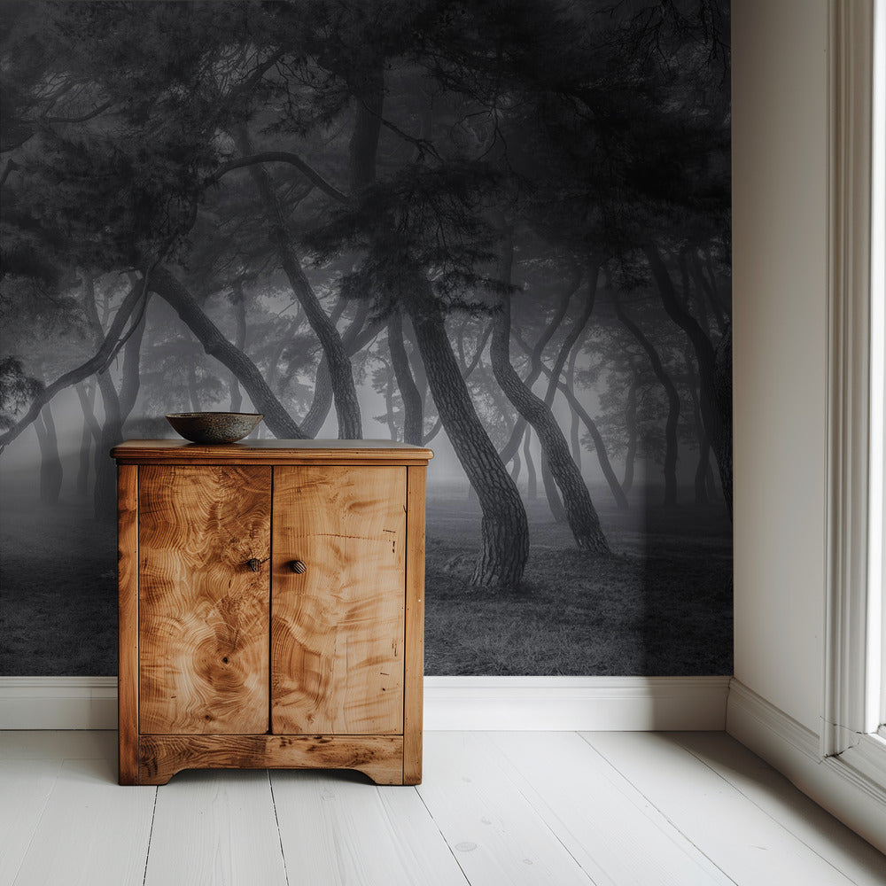 Immer | Hintergrund