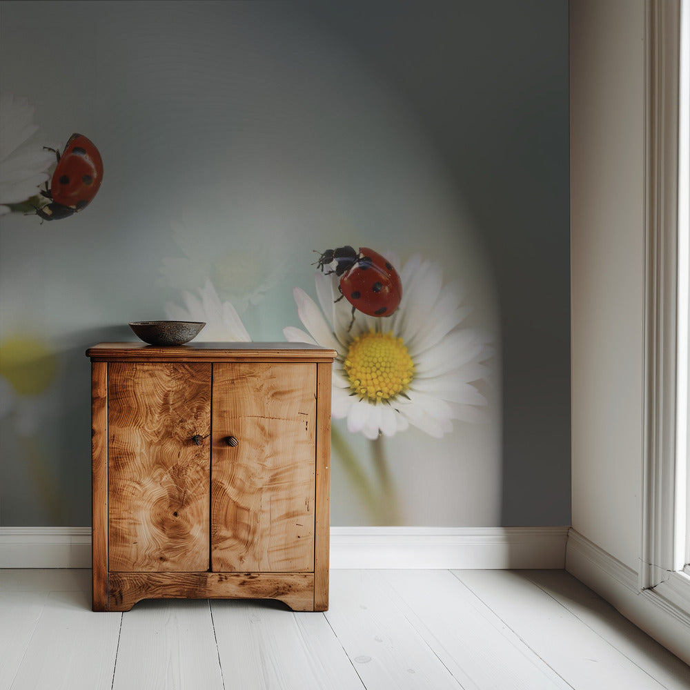 Frühling.... | Hintergrundbild