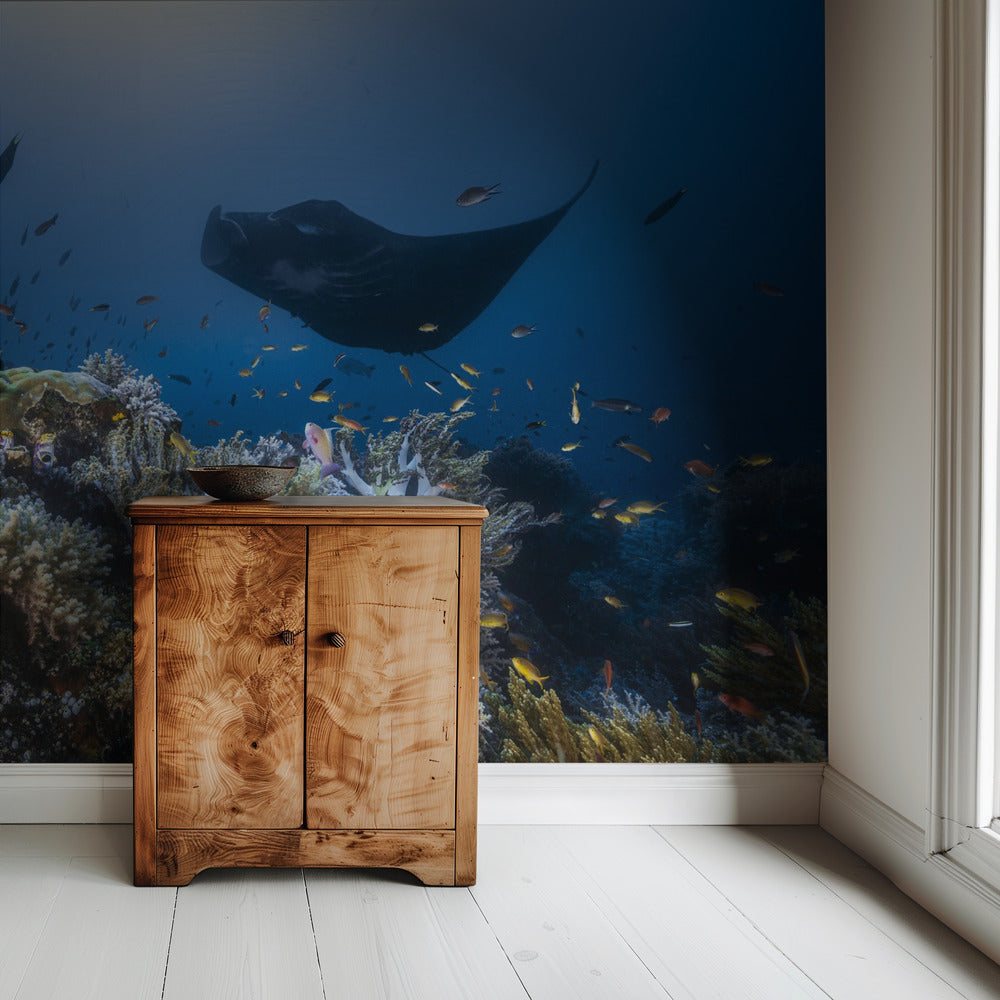 Manta-Riff am Riff | Hintergrundbild