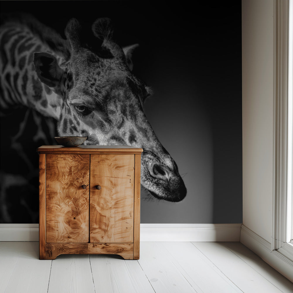 Giraffe | Tapete