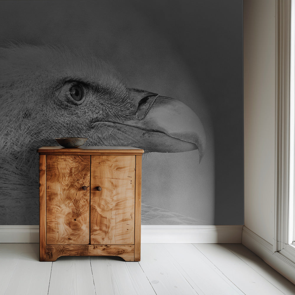 Weißkopfseeadler | Tapete