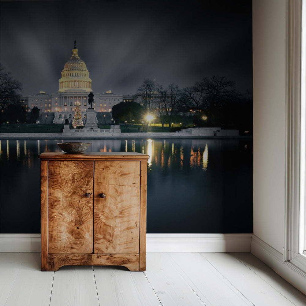 Capitol Hill | Tapete