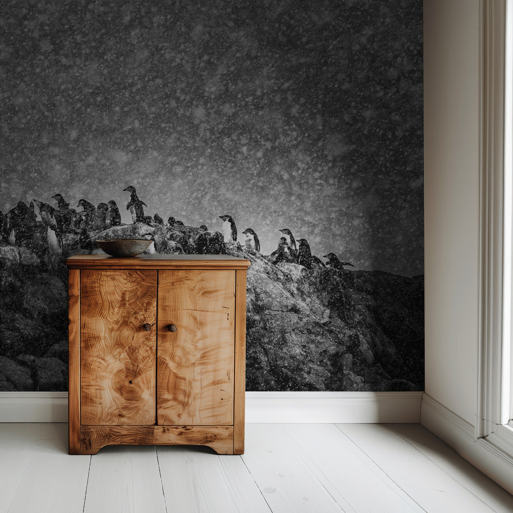 Antarktischer Sturm | Hintergrundbild