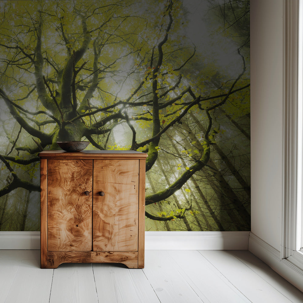 Der Traumbaum | Hintergrundbild