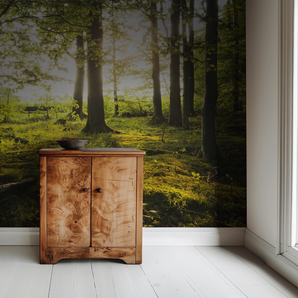 Sommer im Wald | Hintergrundbild