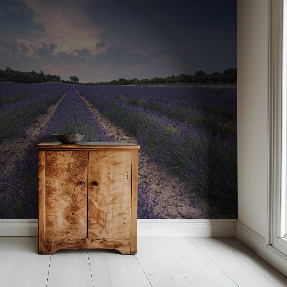 Blauer Lavendel | Tapete