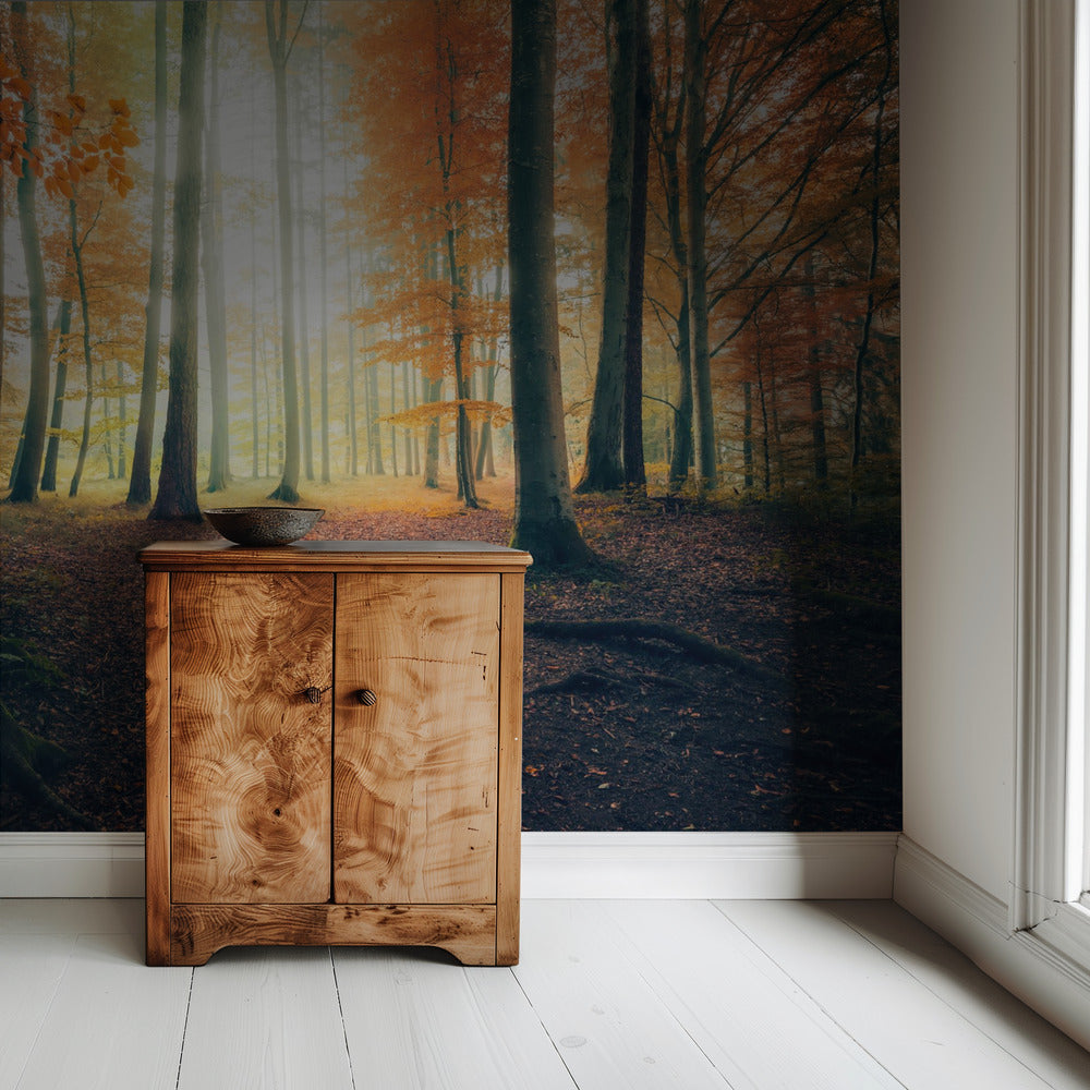 Herbst im Wald | Hintergrundbild