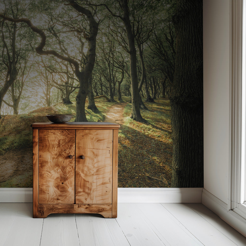 Magisches Buchenholz | Tapete
