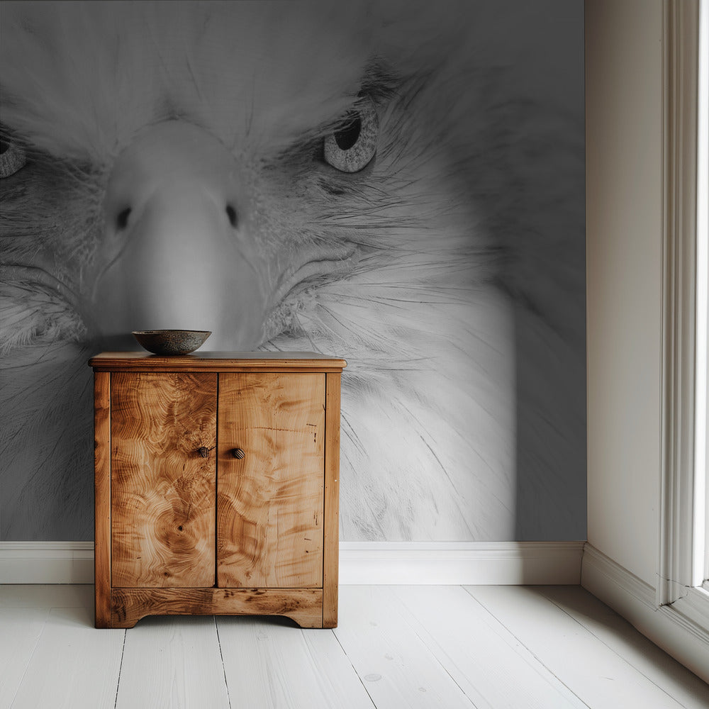 Killeraugen | Hintergrundbild