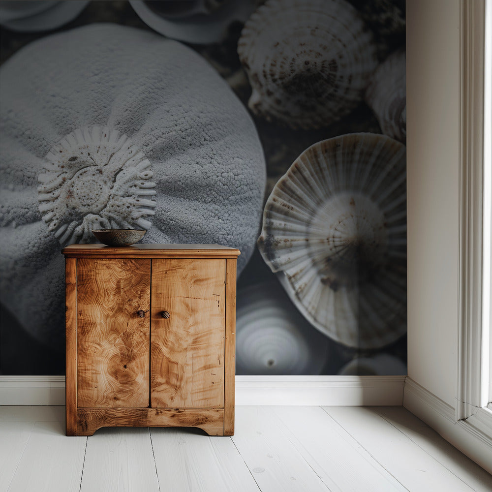 Muschelsymphonie | Tapete