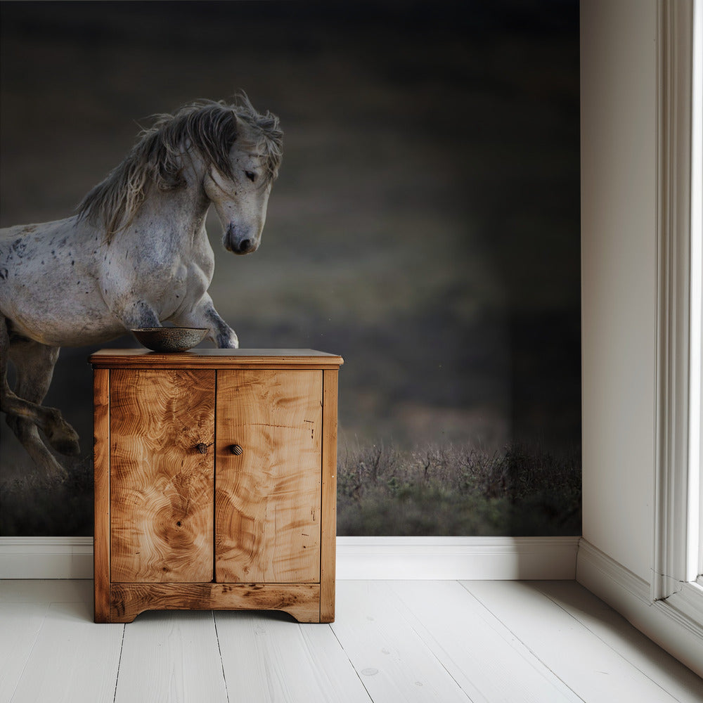 Mustang, Wildpferd / Equus ferus caballus | Tapete