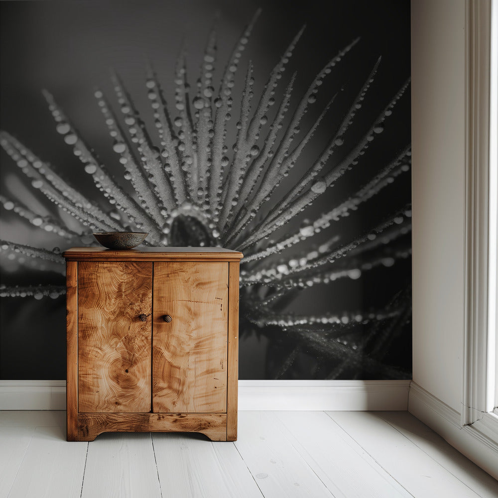 Taufrische Eleganz | Tapeten