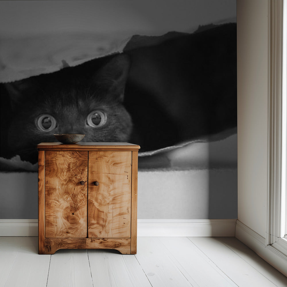 Katze im Sack | Tapete