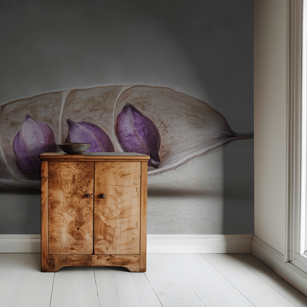 Lila Pod Harmony | Tapete