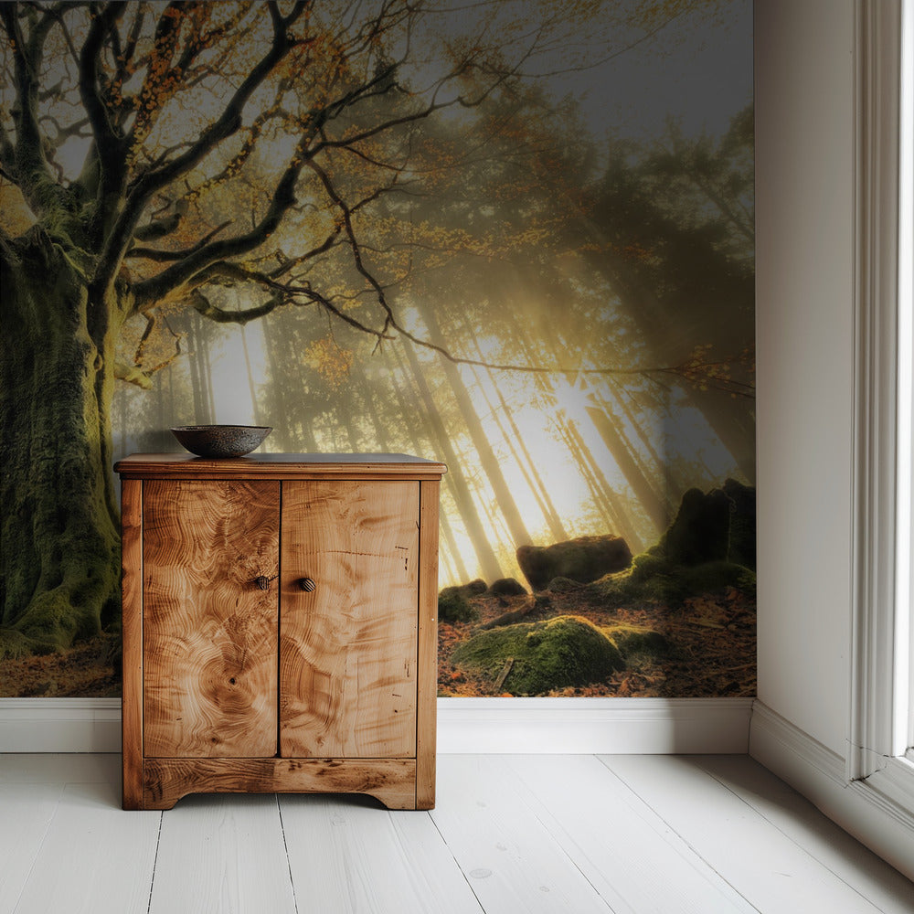 November | Hintergrundbild