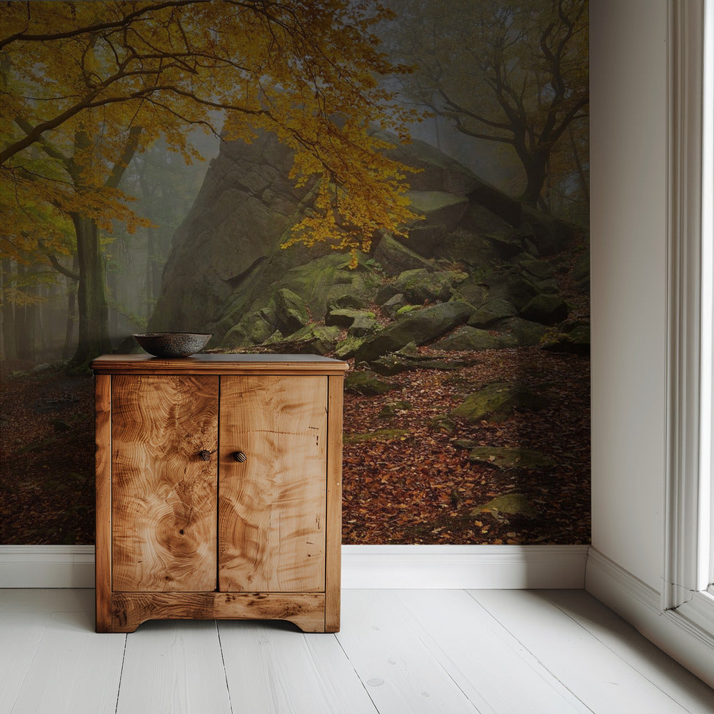 Herbstwald | Tapete
