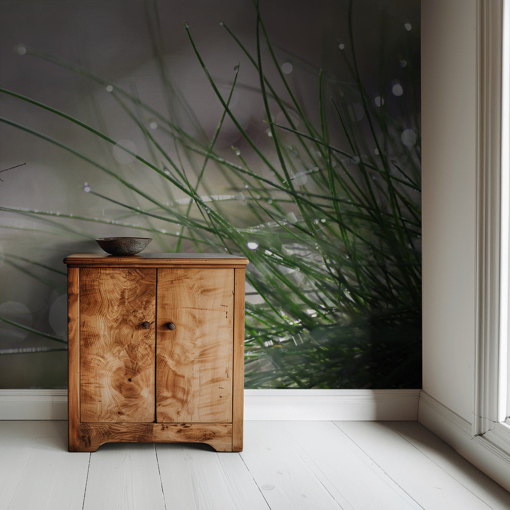 Bevorstehende Landung | Hintergrund