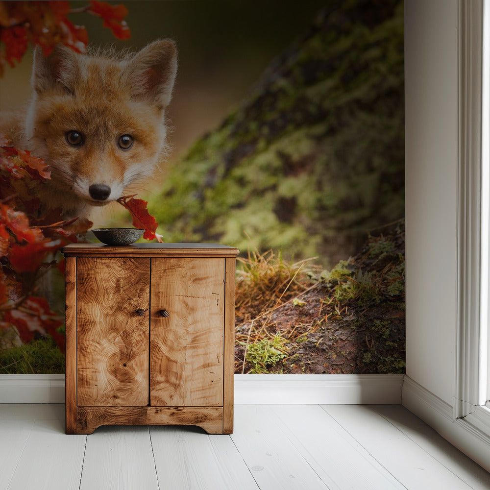 Fuchs | Tapete