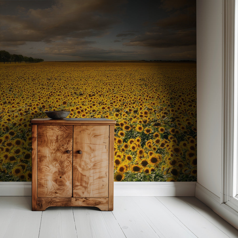 Sonnenblumen | Tapete