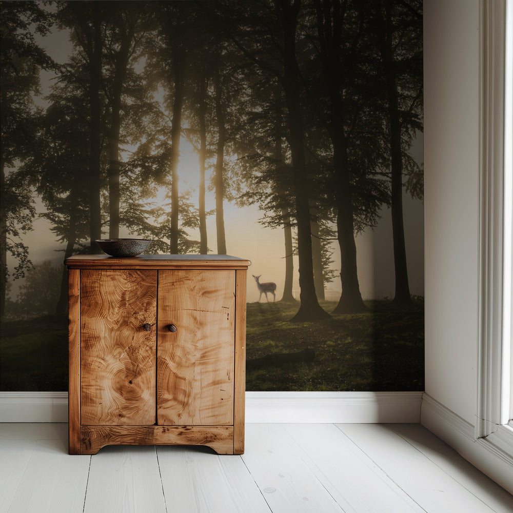 Hirsch im Morgennebel. | Hintergrundbild