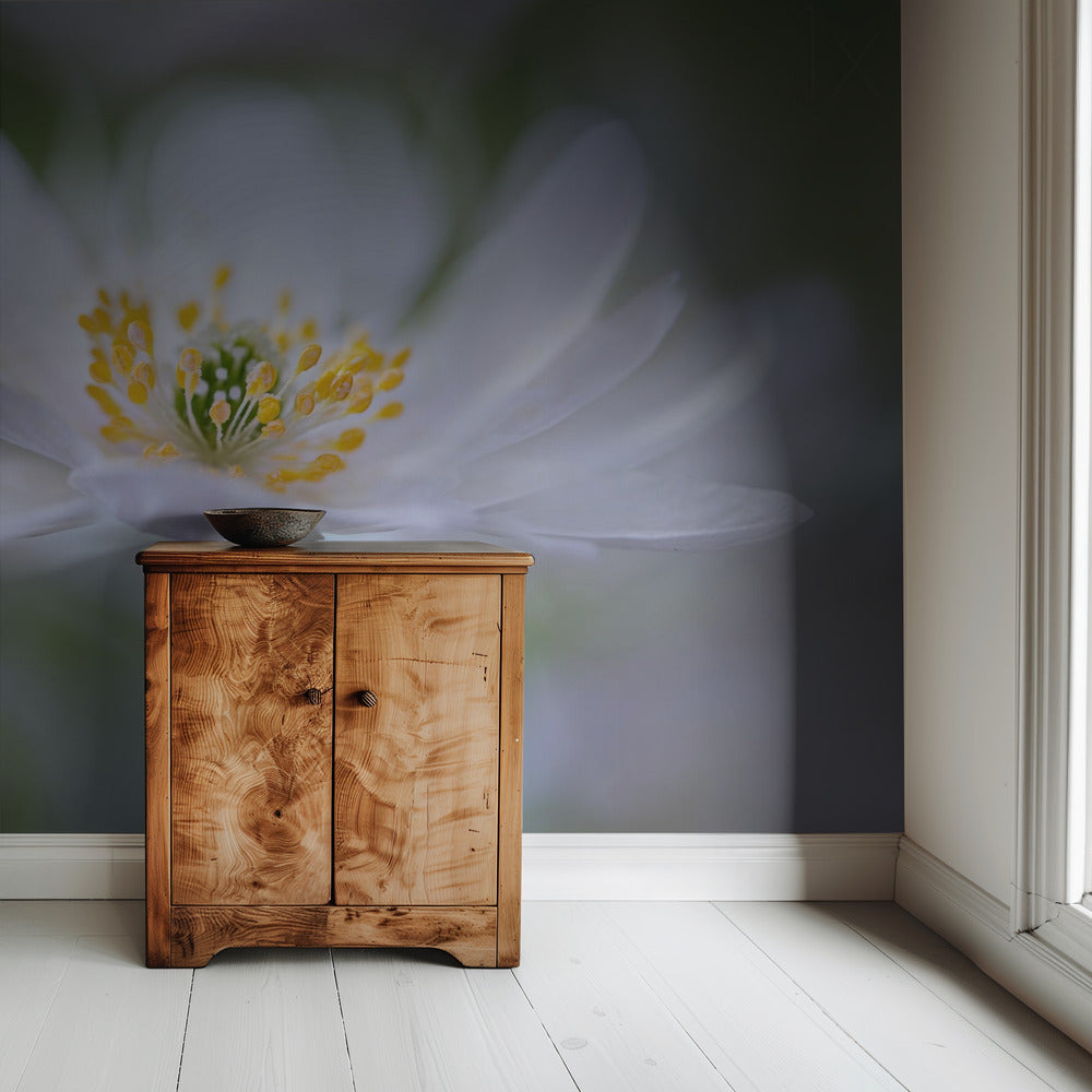Nemorosa Nirvana | Hintergrundbild
