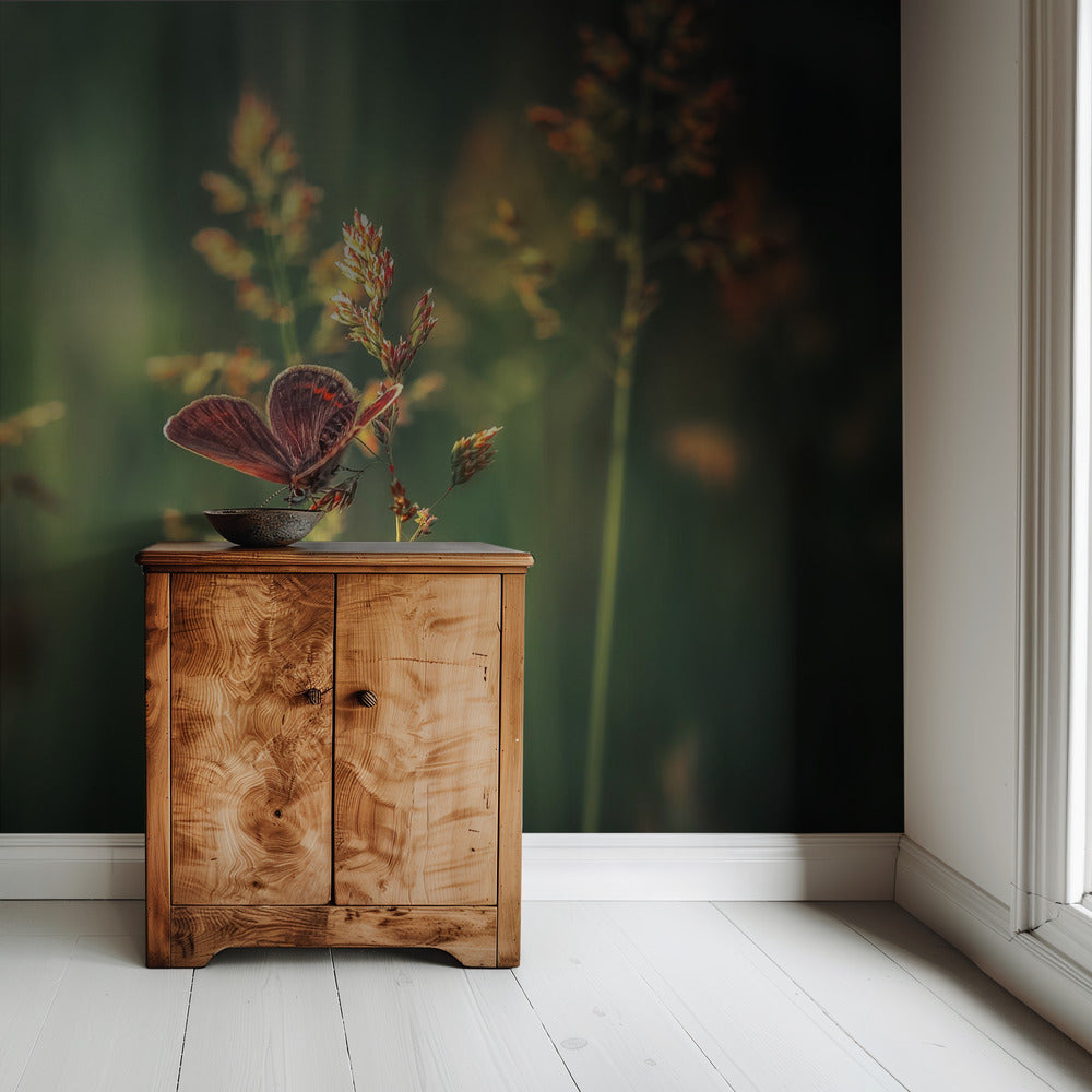 Letztes Licht | Hintergrund