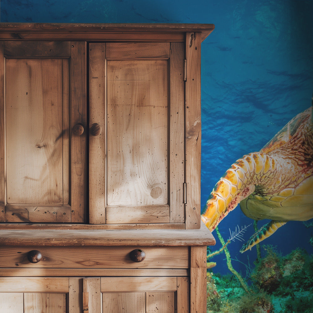 Karettschildkröte schwimmt durch karibisches Riff | Hintergrundbild