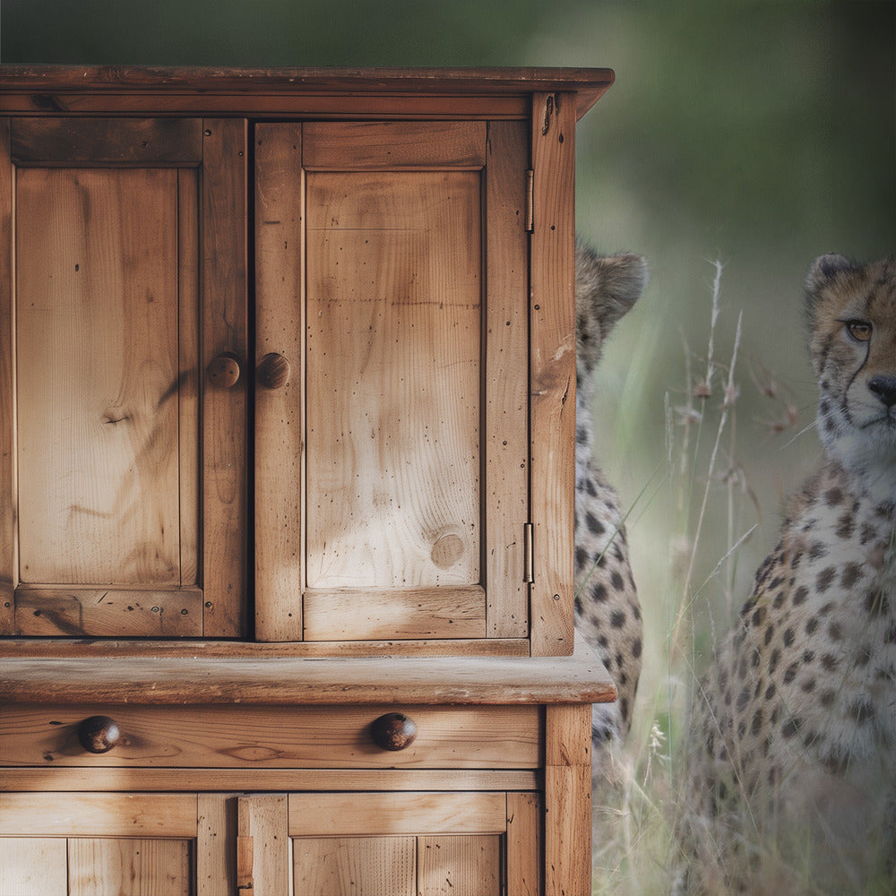 Gepardenjunge | Hintergrundbild