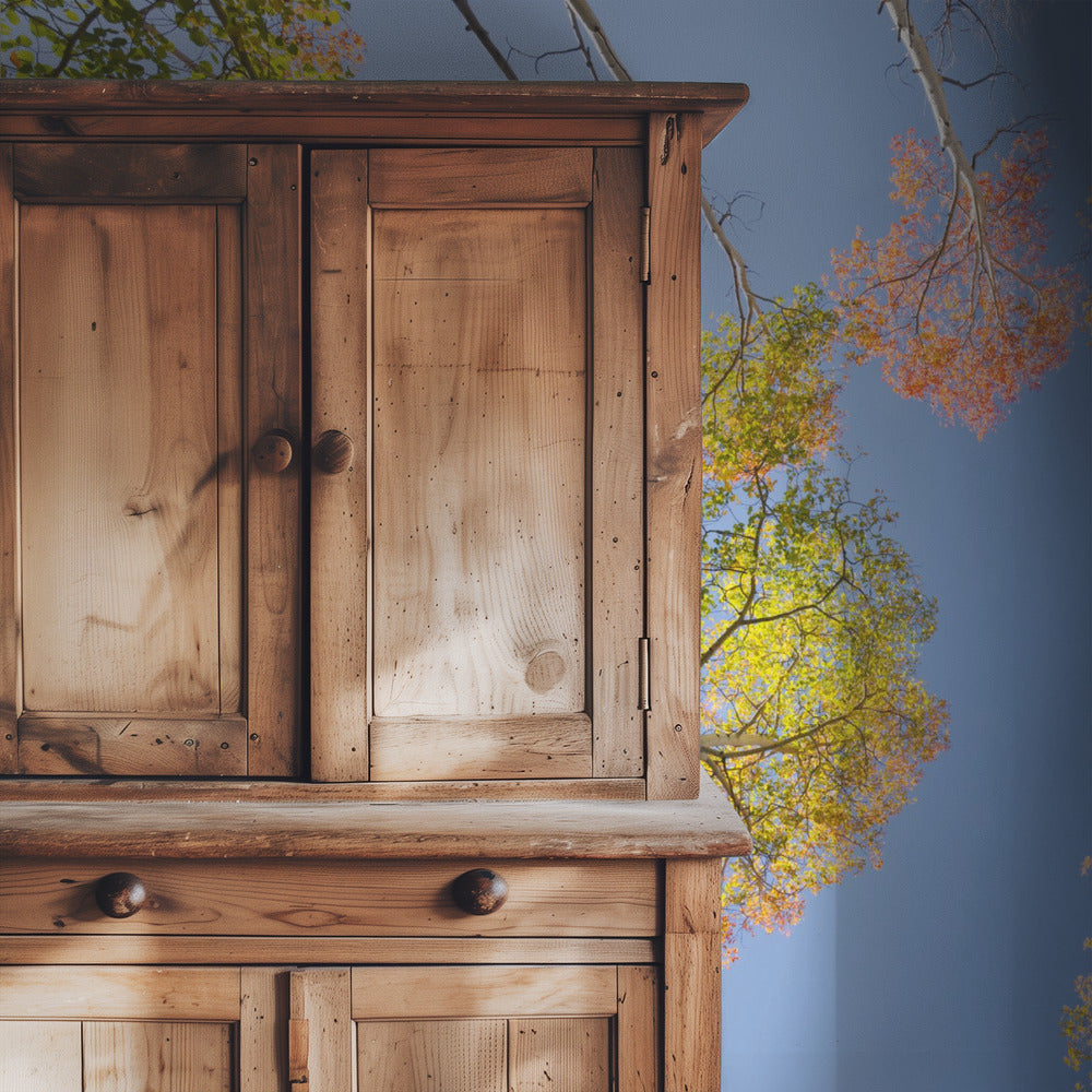 Herbstbirken | Tapete