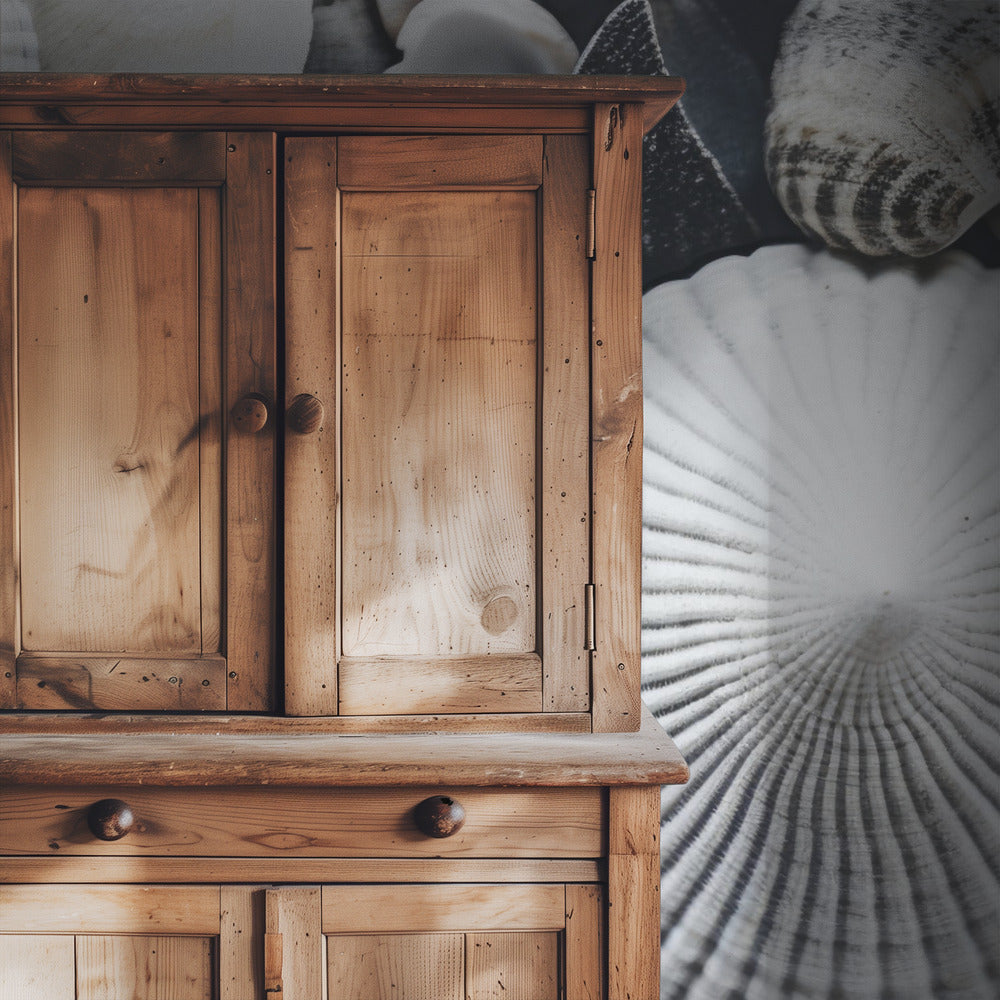Muschelsymphonie | Tapete