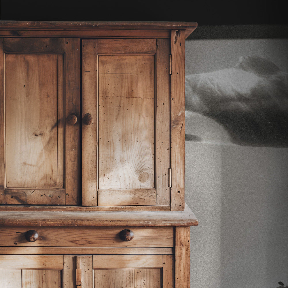Im Reich des Orcas | Hintergrundbild