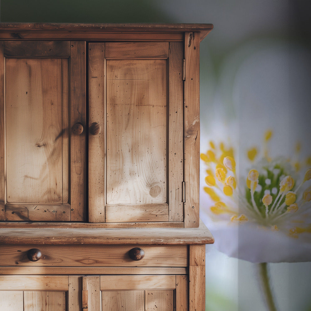 Nemorosa Nirvana | Hintergrundbild