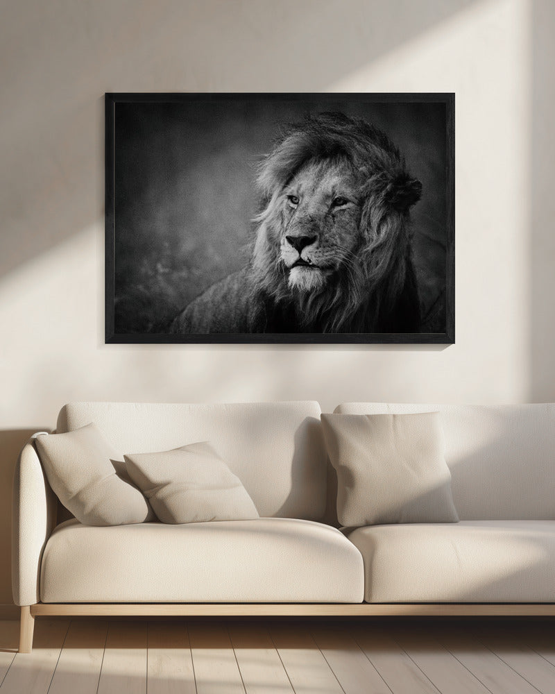 Regal | Leinwand