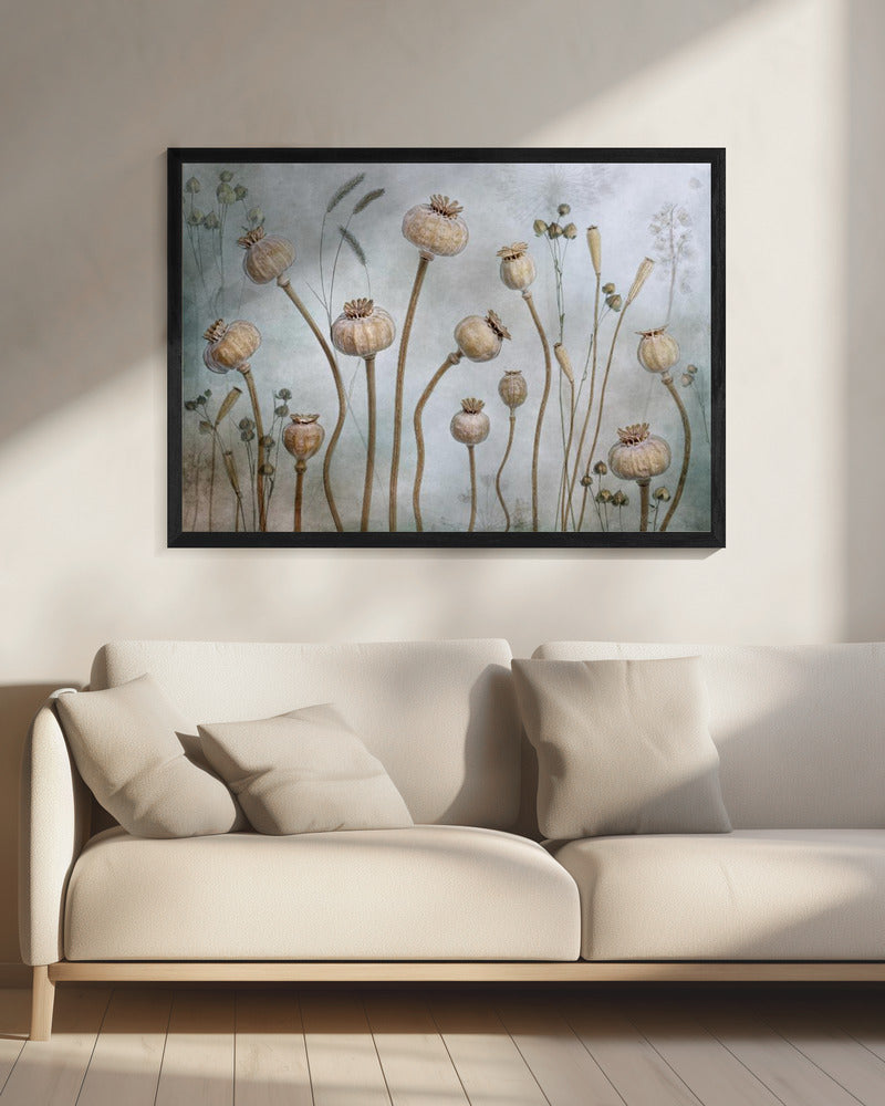 Papaver | Leinwand