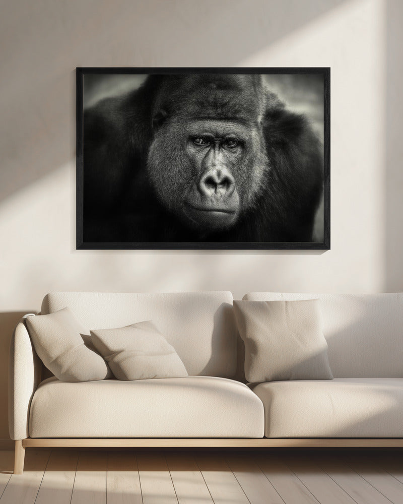 LITTLE SMILE .... | Canvas