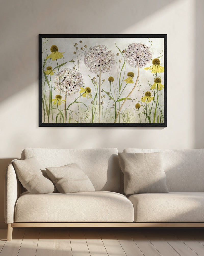 Allium und Helenium | Leinwand