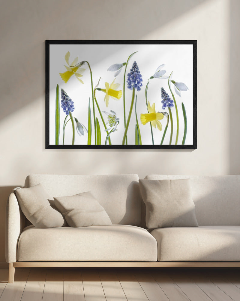 Frühling | Leinwand