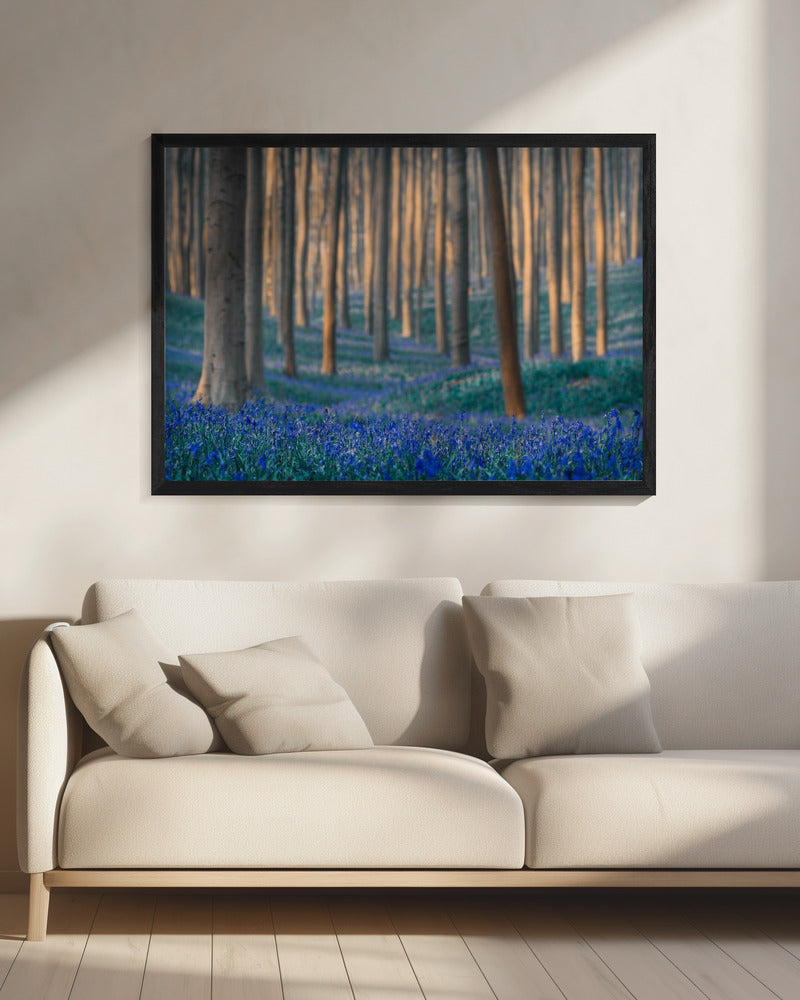 Dreams are made of these | Canvas