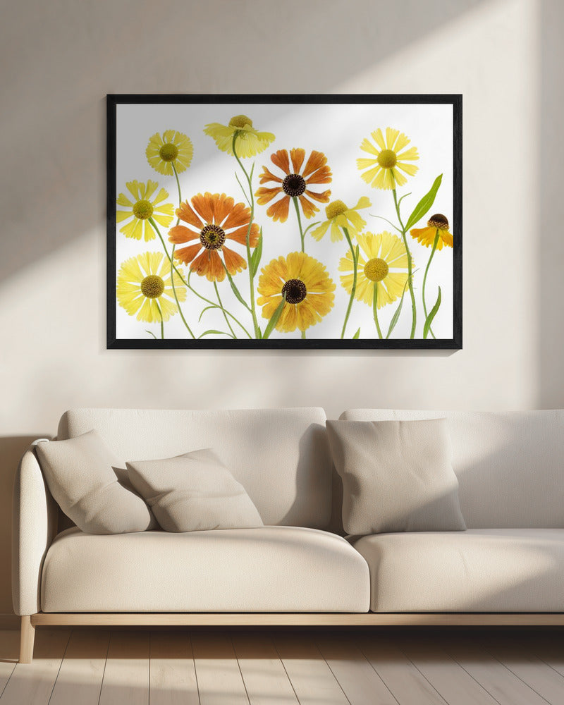 Helenium | Leinwand