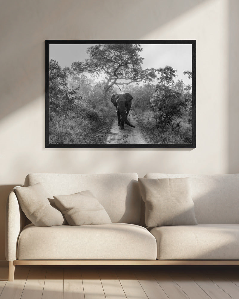 GEHENDER RIESE | Leinwand