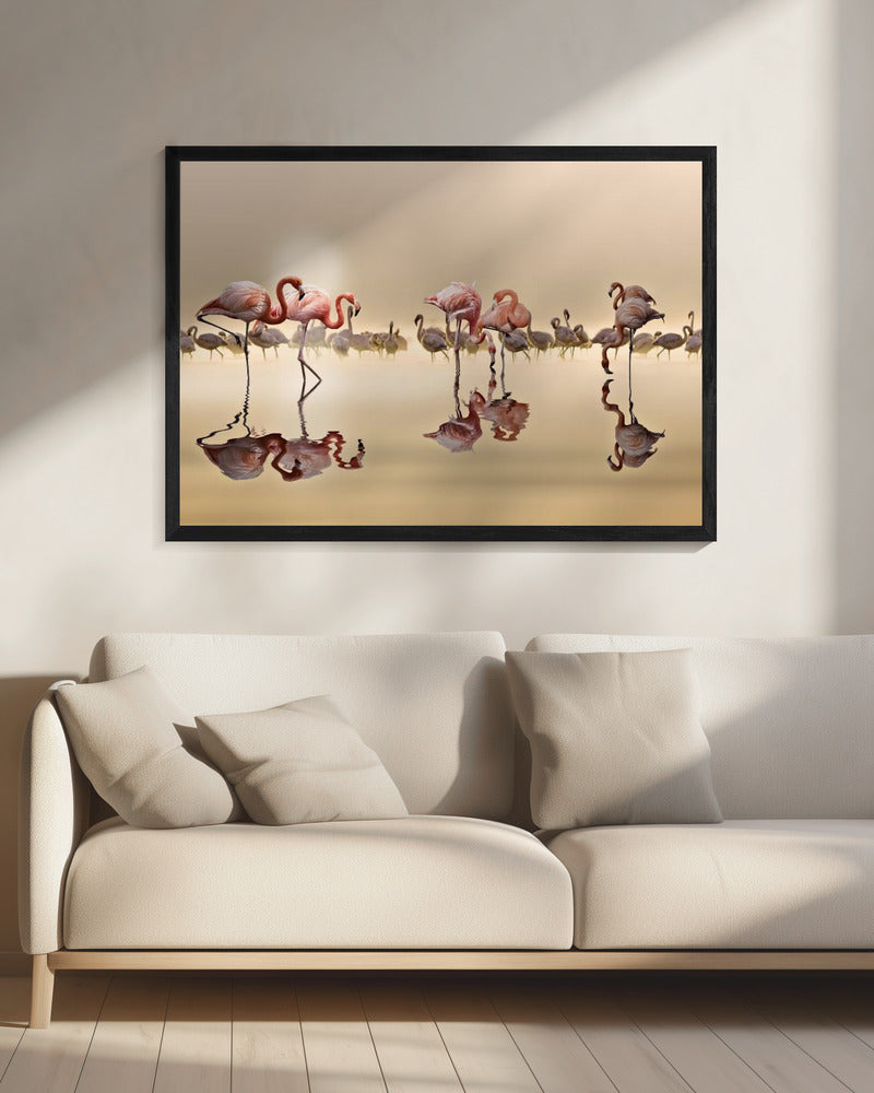 FLAMINGOS | Leinwand