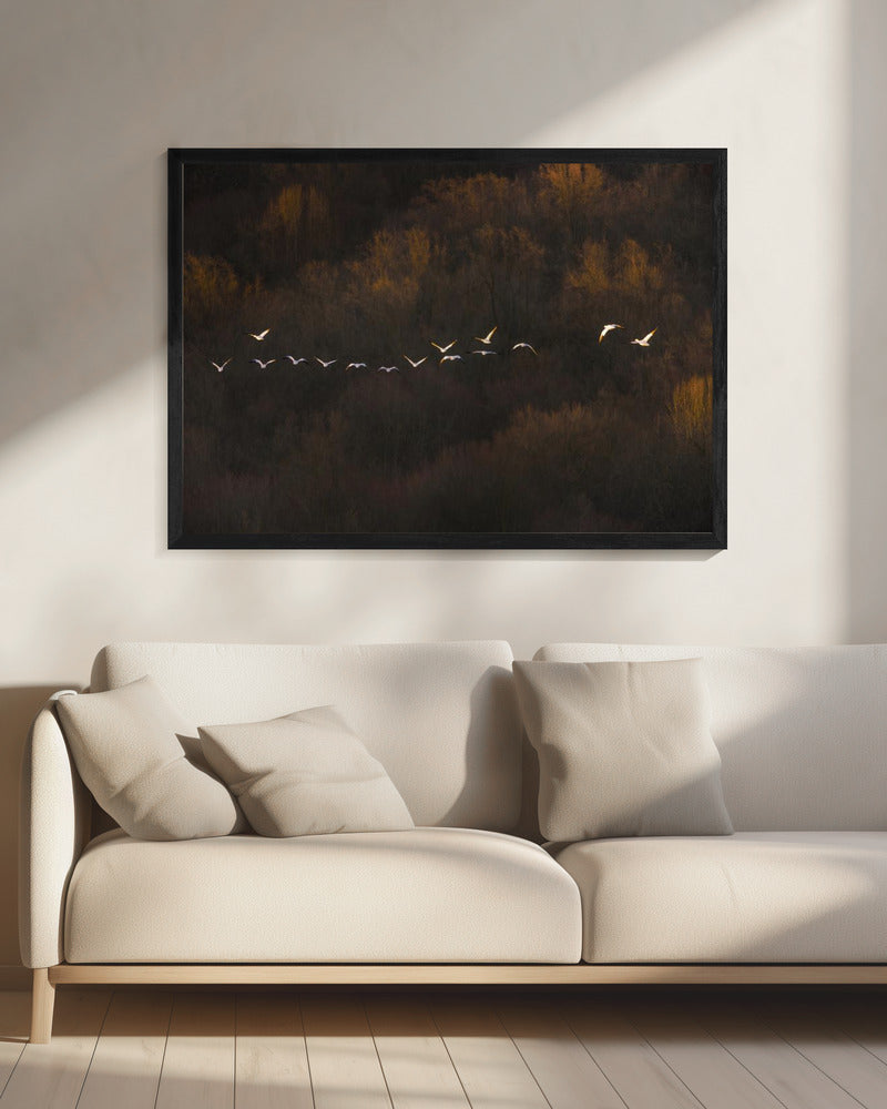 Morning Mood | Canvas