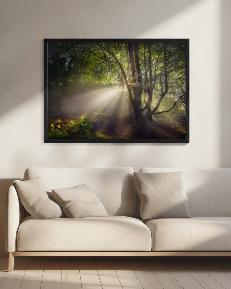 Das Morgenlicht | Leinwand