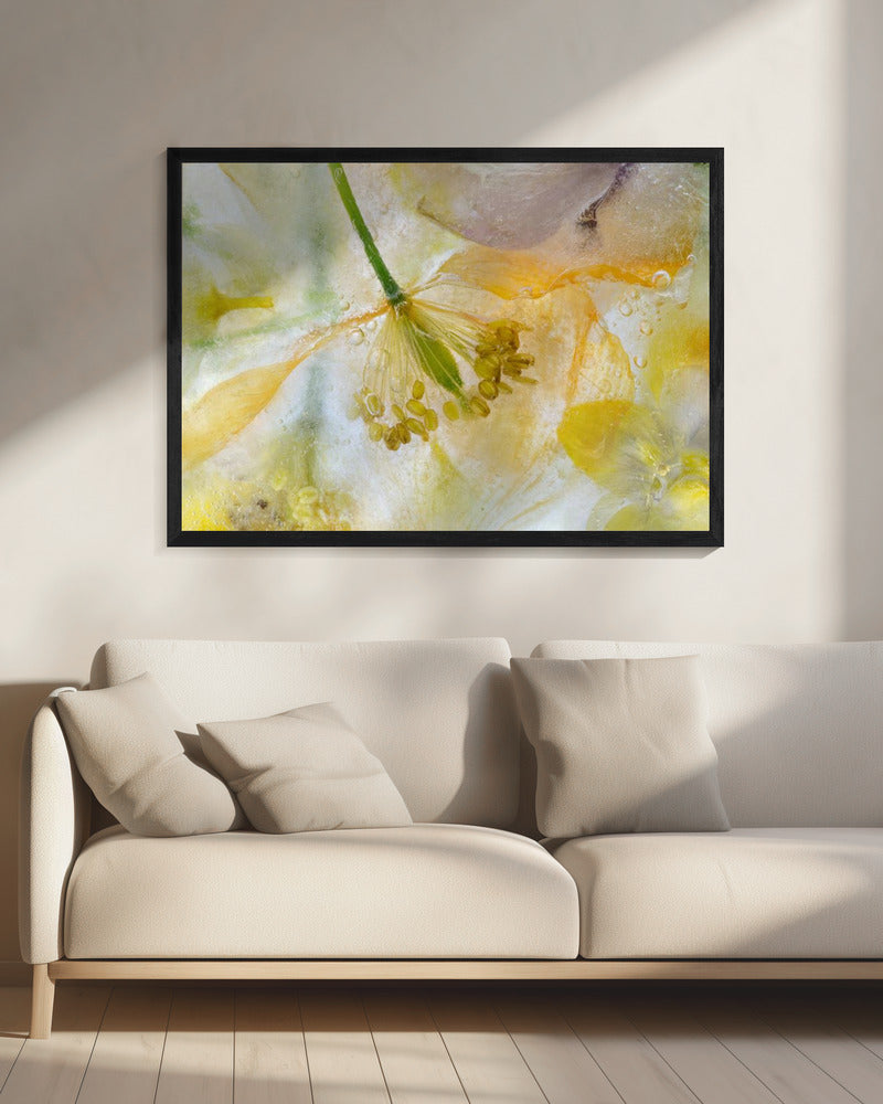 Papaver Ice | Leinwand